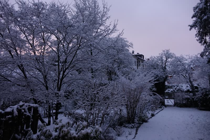 Wintermorgen mit Raureif